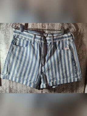 American Eagle Outfitters Blue & White Vertical Stripe Jean Shorts L@@K Size 10